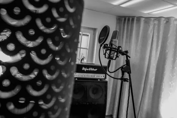 Professional studio microphone for recording sessions